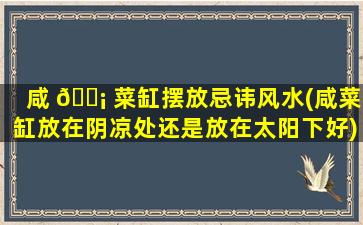 咸 🐡 菜缸摆放忌讳风水(咸菜缸放在阴凉处还是放在太阳下好)